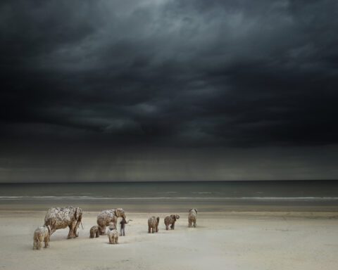 You can buy my heart and my soul by Andries Botha