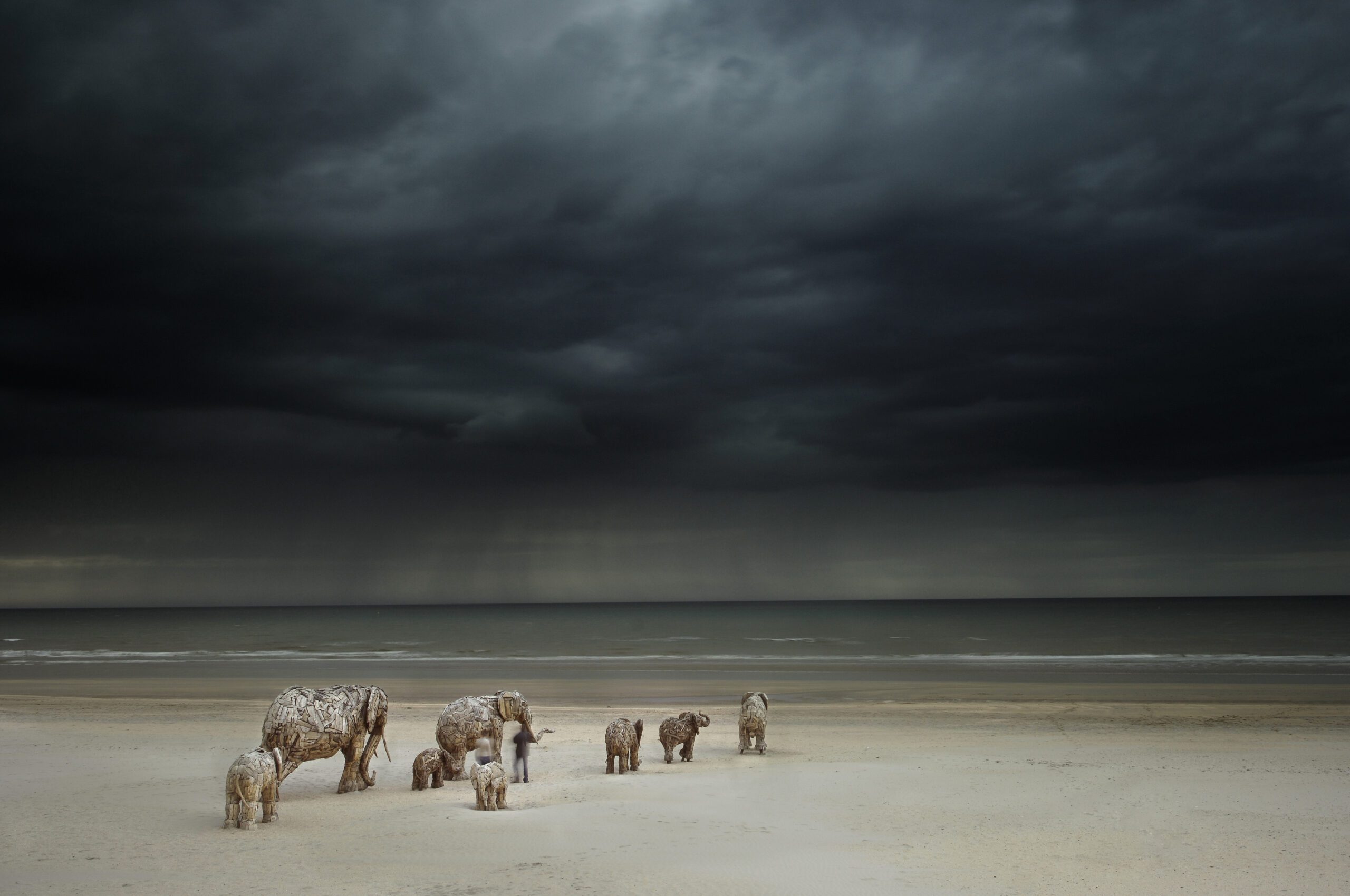 You can buy my heart and my soul by Andries Botha