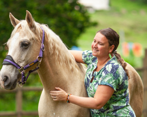How horses build stronger teams
