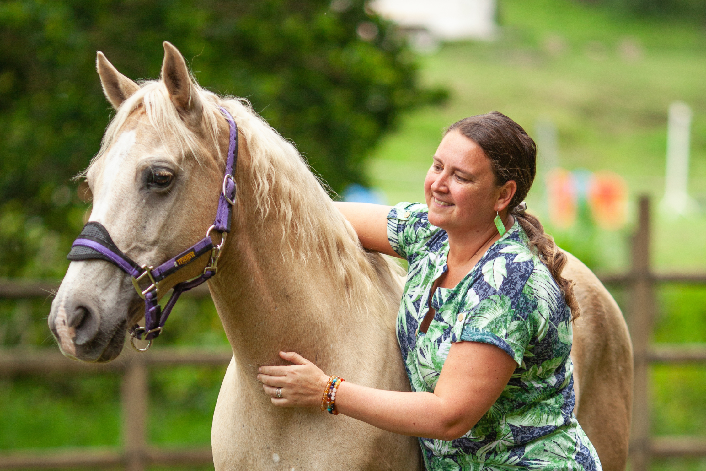How horses build stronger teams
