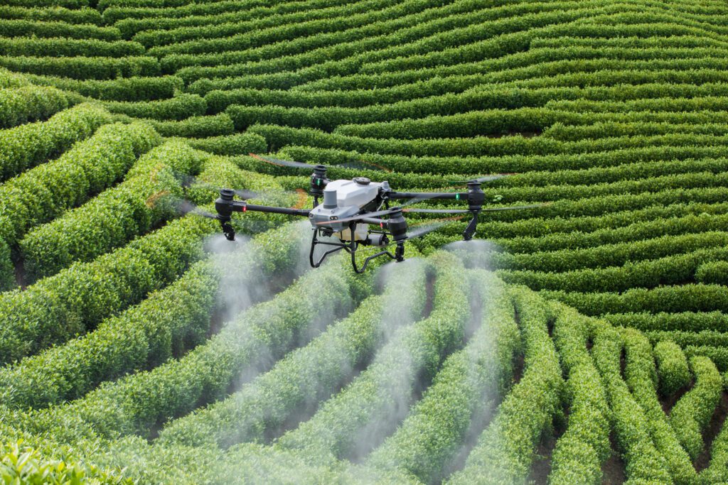 High Tech Harvest: How drones are sweetening sugar farming
