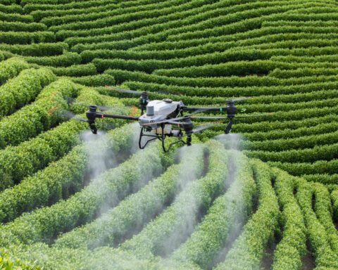 High Tech Harvest: How drones are sweetening sugar farming
