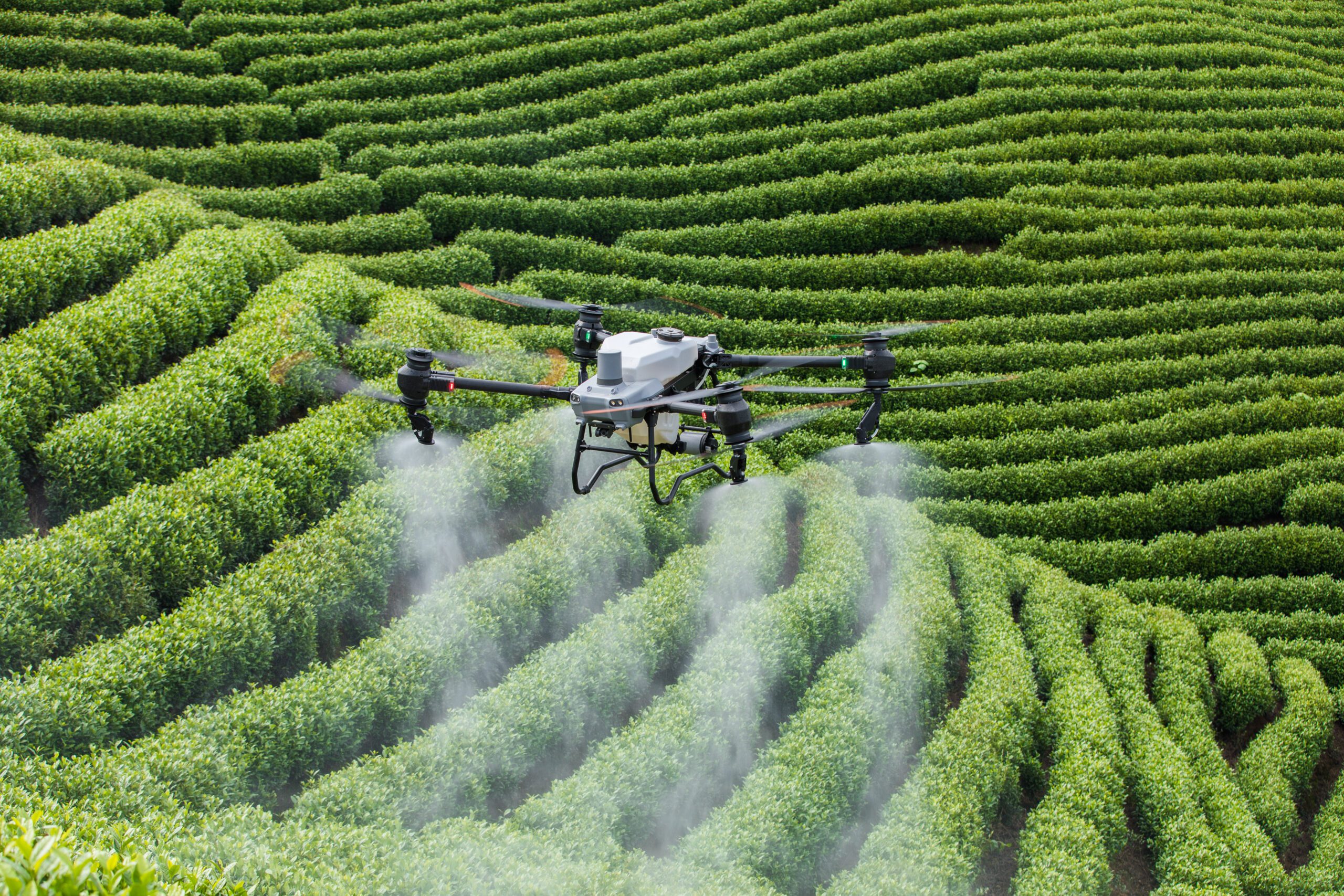 High Tech Harvest: How drones are sweetening sugar farming