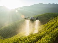 High Tech Harvest: How drones are sweetening sugar farming