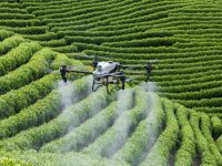 High Tech Harvest: How drones are sweetening sugar farming